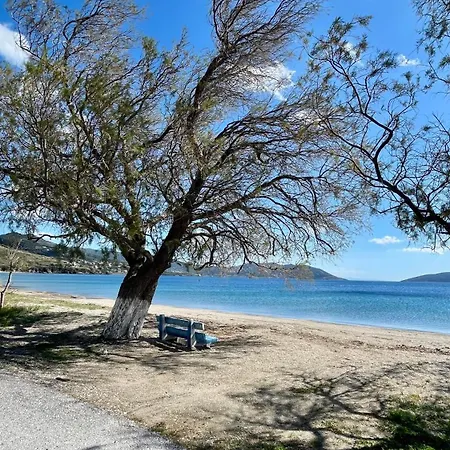 Апартаменты Scenic Coastal Getaway Porto Lafia